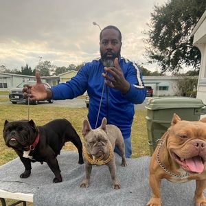 Meet your Posher, Dontae